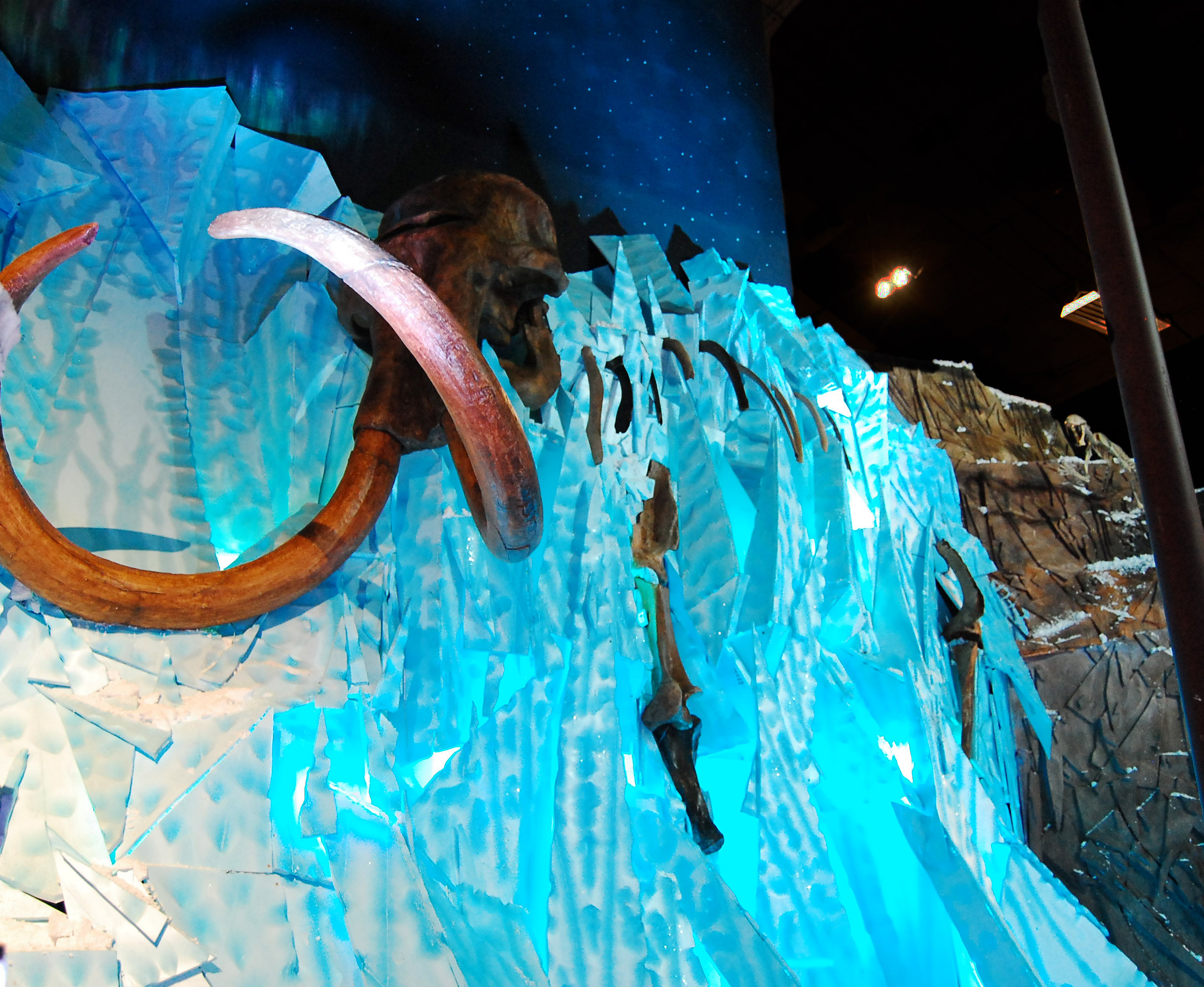 Woolly Mammoth and Smilodon at Naranjo Museum of Natural History