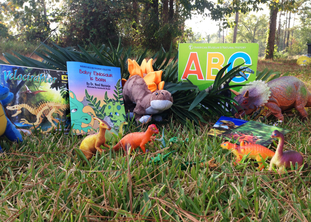 Naranjo Museum of Natural History Gift Shop