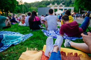 Movies In The Park