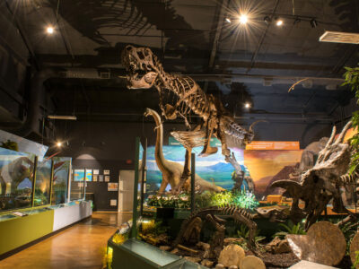 Naranjo Museum of Natural History - Lufkin, Texas