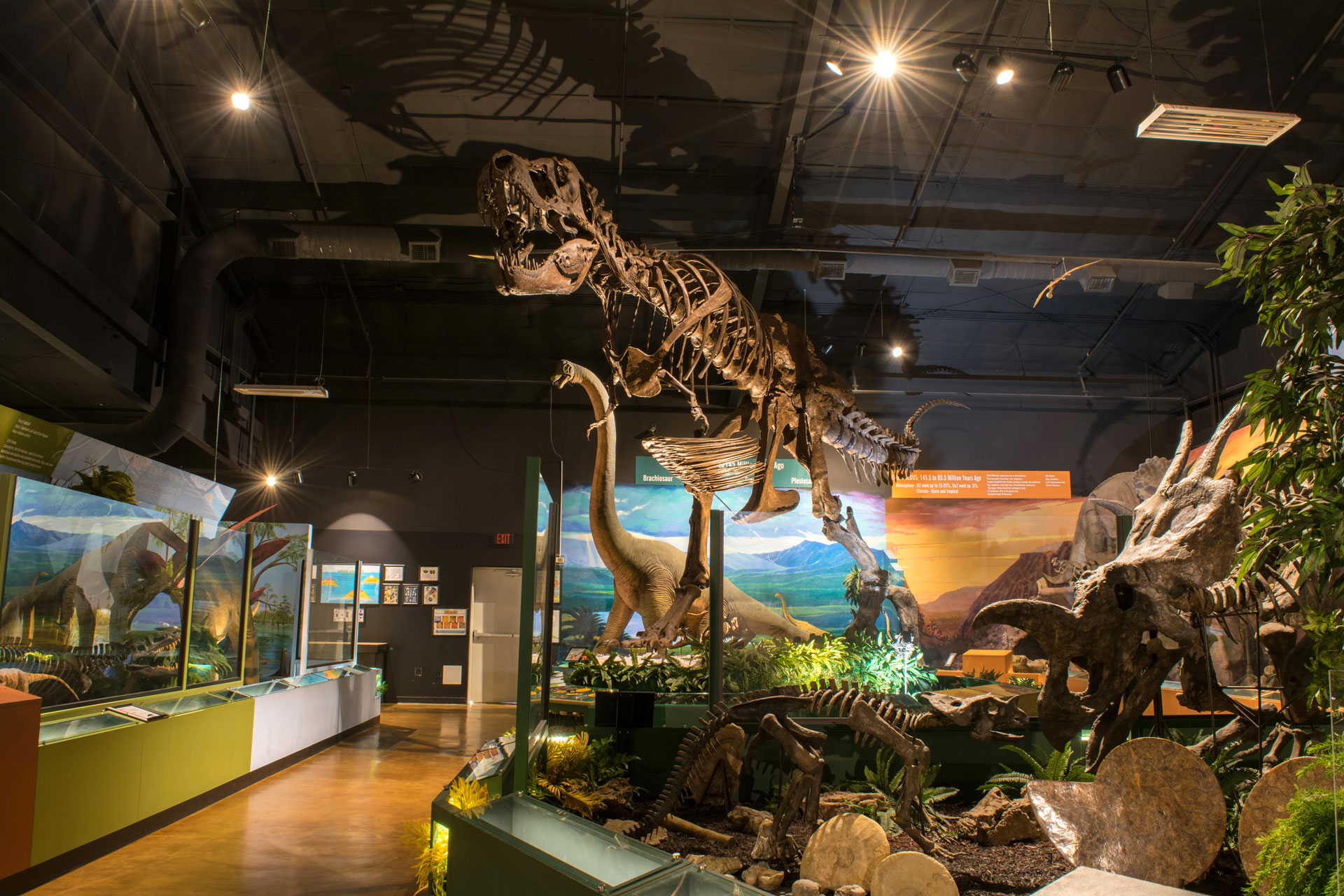 Naranjo Museum: Home Page