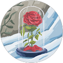 Rayann F. profile picture