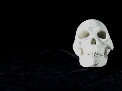 Early Human Artifacts - Homo naledi