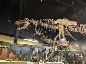 Naranjo Museum-Natural History place picture